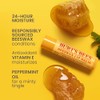 Burt's Bees Bálsamo labial, cera de abejas Bounty, clásico, paquete