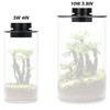 AREPK Glass Terrarium Plant Growing Lamp, for Vases Up to