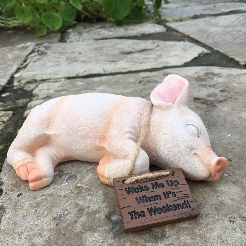 Paxton Pig Resin Garden Ornament"Wake Me Up When It Is