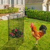 Adnee 8 Pack Wire Plant Protector with Cover-20" x 11"
