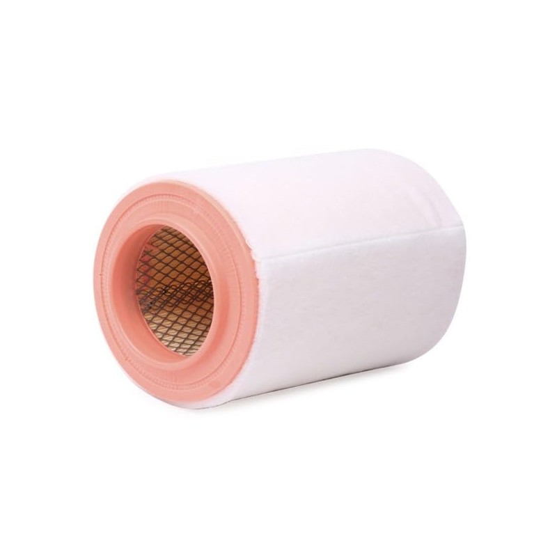 RIDEX 8A0340 Engine Air Filter Insert with Pre-Filter