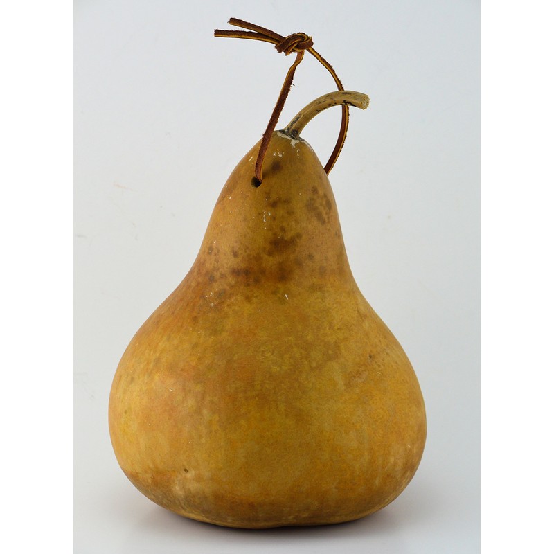 Gourdaments Gourd Birdhouse, Unfinished, Craft Ready, Box of 3