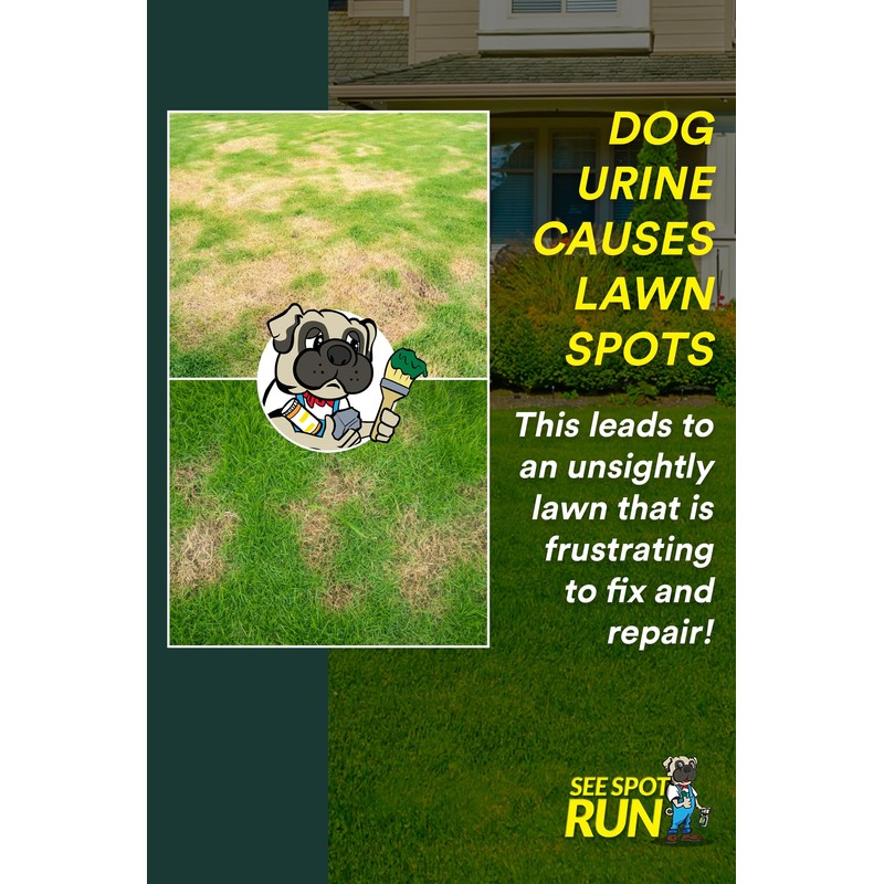 See Spot Run Lawn Protection Concentrate – 32 fl oz
