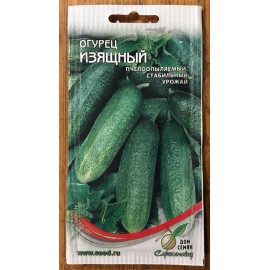 Dom Semyan Russian Cucumber “Elegant” Heirloom Non GMO Seeds Rare-Огурец Изящный