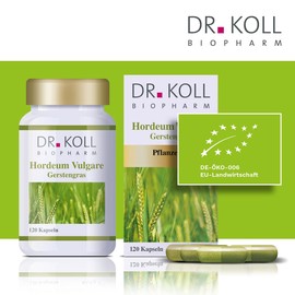 Dr. Koll Barley Grass Hordeum Vulgare Plant Extract, 100% Vegan, Highest Organic Quality, Grown and Made in Germany, Natural Dietary Supplement (120 Capsules, 63.6 g)
