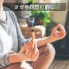 Palo Santo Stick Incense Wood Outlet Irregular Real Purified Peruvian