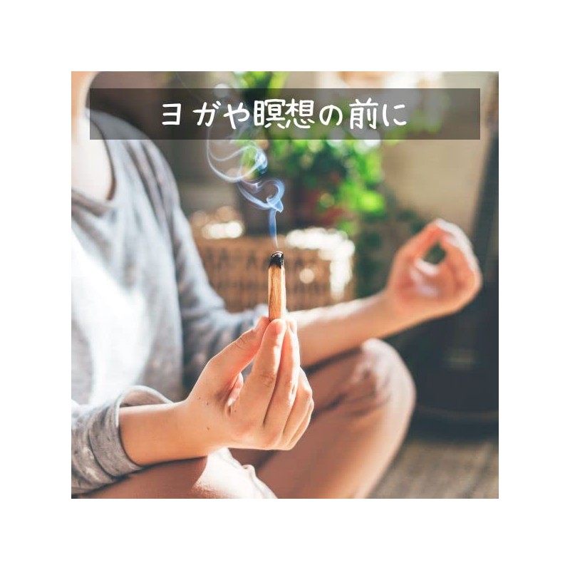 Palo Santo Stick Incense Wood Outlet Irregular Real Purified Peruvian