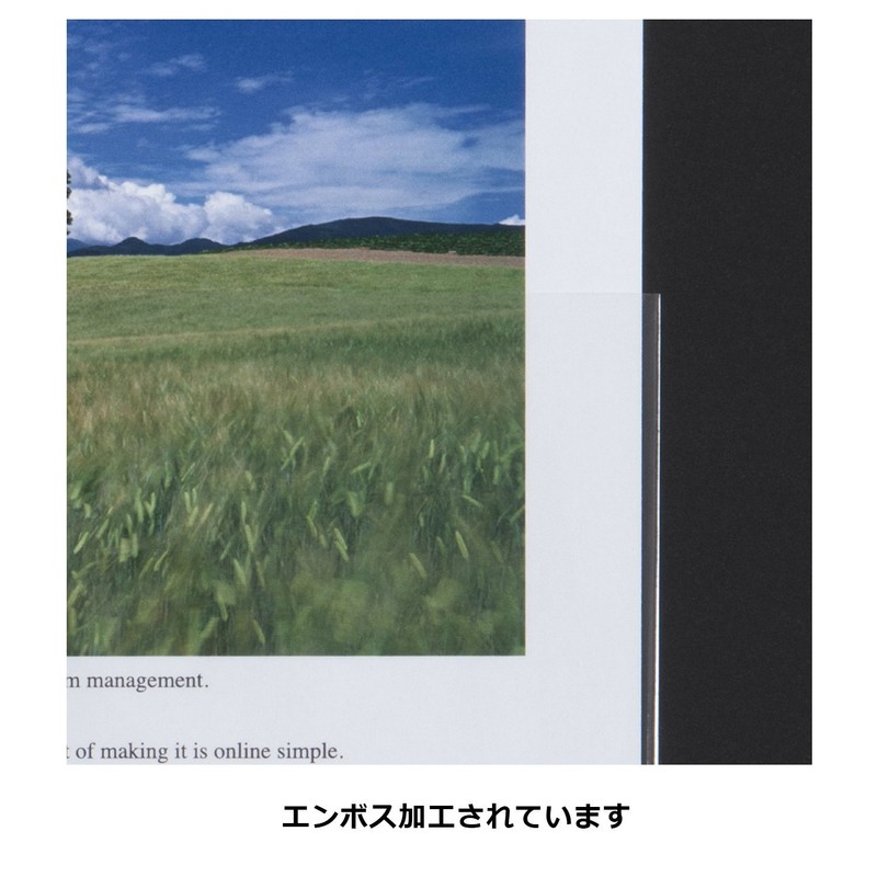 Kokuyo clear. Book Replacement Paper