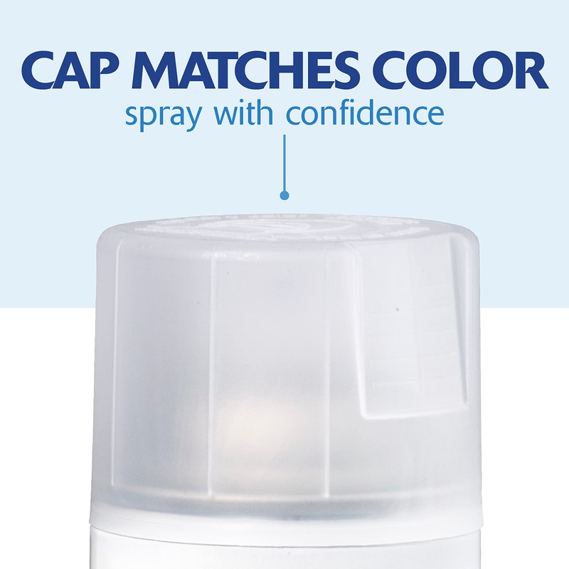 Rust-Oleum 249087-6PK Painter's Touch 2X Ultra Cover Spray Paint, 12