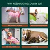 Kuoser Recovery Suit for Dogs, Soft Dog Spay Suit for