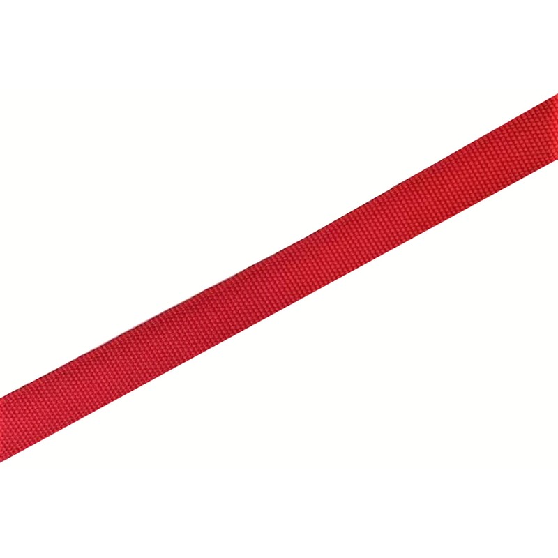 TAIAN 4FT/5FT/6FT Strong Dog Leash, Nylon Dog Leashes for Small