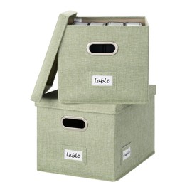 GRANNY SAYS File Organizer Box with Lids, File Box for Home Office, Decorative Storage Boxes, Filing Box for Document, Letter, Legal File, Portable File Box with Handles, Green, 2-Pack