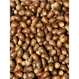 2 Lbs Pounds Acorns White & Red Oak Fresh 2024 Drop New