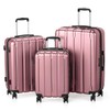 Udorich Lightweight and Durable Trolley Case for Travel, 3-in-1 Set
