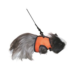 Kerbl Rodent Harness Sport includes Flexible Lead, 120 cm/ 14 - 18 cm Neck Circumference