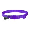 Vibrant Soft Nylon Kitten/Cat Collar with Bell and Safety Release