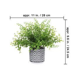 Winlyn Set of 3 Assorted Small Potted Plants Faux Eucalyptus Boxwood Plants Aloe Succulent Plant in Black and White Geometric Pots for Table Centerpiece Windowsill Shelf Indoor Outdoor Greenery Decor