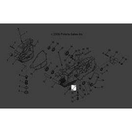 Polaris RZR Dowel Pin, Genuine OEM Part 0450142, Qty 1