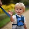 LittleLife Child & Toddler Safety Walking Harness & Reins
