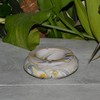 Moroccan Ashtray Medium Marbled Lime Green Yellow, Blue and White