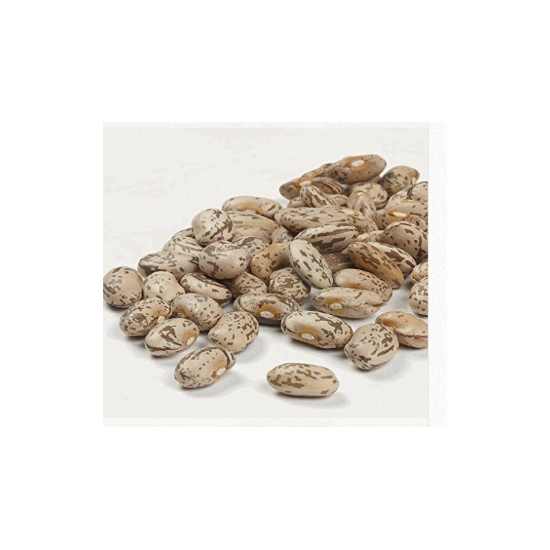 Camellia Brand Pinto Beans Dry Bean, 2 Pound Bag