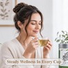 Moringa tea in 25 Biodegradable teabags in a premium tin