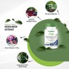 Fairvital | Heidelbeer-Extrakt mit Anthocyanen - 90 Kapseln - HOCHDOSIERT