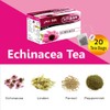 Echinacea Tea from Tisan - 2 boxes total 40 tea