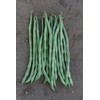 ATLAS Asparagus Bean -Atlas Long Slim
