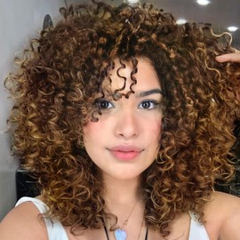 Colorfulpanda Wig Afro Kinky Curly Women's Short Wavy Wigs Curls for Women Synthetic Natural Hair Wig with Fringe Natural Curly Wig (Ombre Brown Blonde)