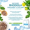 Rhodiola 500mg (3% Rosavins - 1% Salidrosides) Whole Root Equivalent
