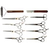 Tamsco Delux e Grooming Set of 10 in Leather Case
