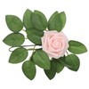 25pcs Artificial Roses Light Pink Fake Bulks Box for DIY