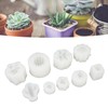 9Pcs Succulent Silicone Mold Soft Flexible Easy Release Easy to