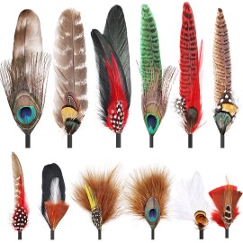 12Pcs Hat Feathers Assorted Natural Feathers for Hats Colorful Real Feathers Pin DIY Craft Men Women Cowboy Hats FedoraColor: 12PC 03, Feather Size (L x W): 2-3 In/6-8In