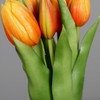 Natural Real Touch Tulip Bunch 32 x 20 cm with