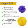 XxinXrong Fascia Ball Massage Set of 3 Hedgehog Balls with
