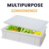L'Oro Del Sud Home Refrigerator Size, Dough Proofing Box Tray