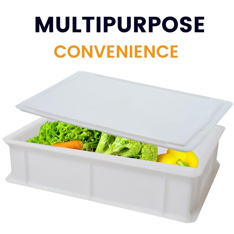 L'Oro Del Sud Home Refrigerator Size, Dough Proofing Box Tray