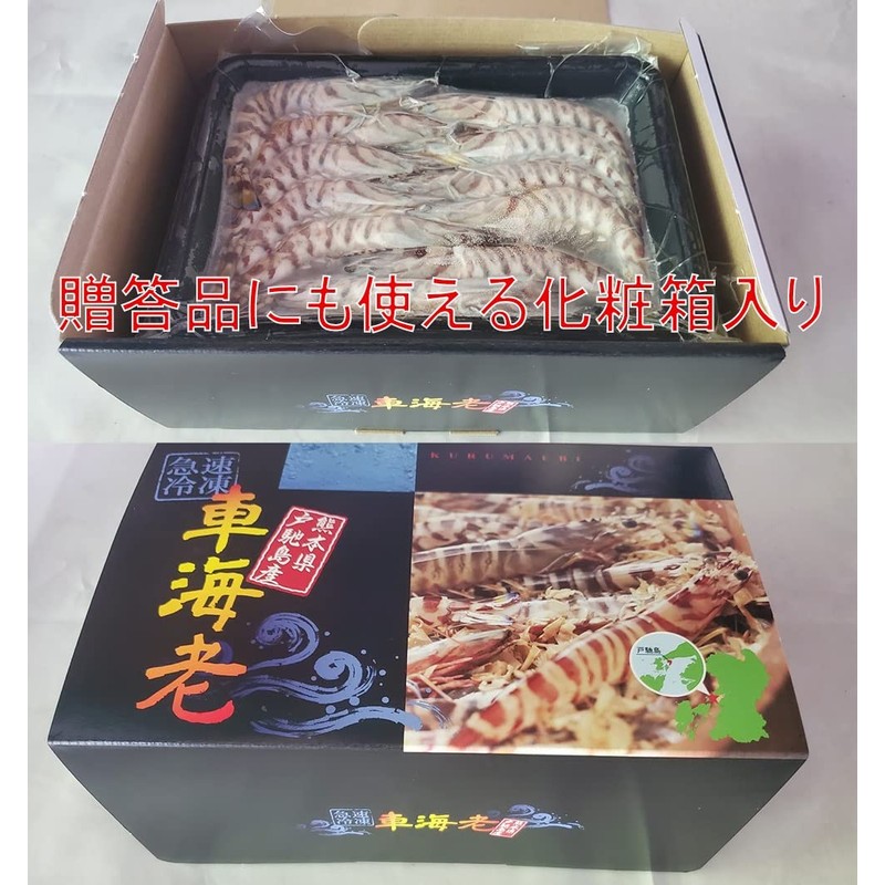 Life-based Quick Freezing Shrimp 17.6 oz (500 g) (Large Size