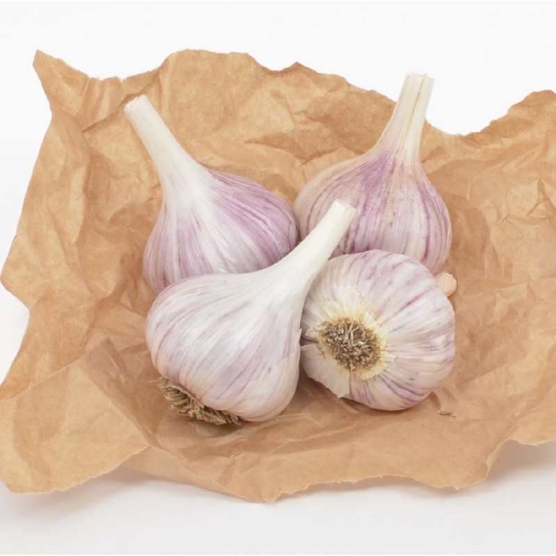 Gourmet Chesnok Red Garlic Bulbs Hard Neck - 4 Bulbs