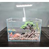 Novelsite Fish Tank Decoration- Cliff Bonsai Trees with Faux Moss-