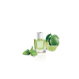 Tescoma Fancy Home Diffusor von Essenza Mojito, grün, 8.8 x 7.6 x 25.2 cm