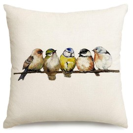 RABUSOFA Birds Pillow Covers 18x18,Hand-Painted Oil Painting Rustic Birds Pillow Cases,Cute Colorful Spring Decorations for Home Couch Outdoor