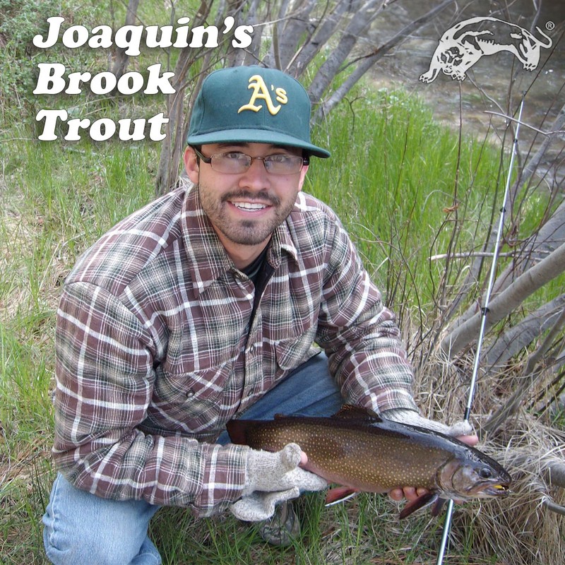 Panther Martin PMAS_1 Classic Patterns Fishing Teardrop Spinner Lure -