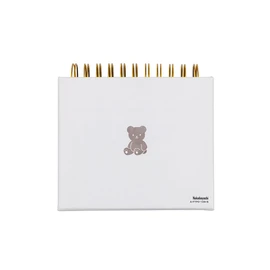 Nakabayashi Frame Case Album, Ring Style/L-Size, 1-Tier Pocket Base, Baby Blue, A-FTPC-105-B