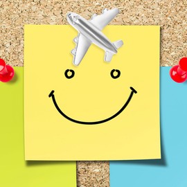 Lurrose 30 pieces metal push pins, push pins, marking pins, map photo world map, cork board, fabric marking, office supplies, silver