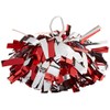 Danzcue Pack of 2 Cheerleading 6 Inches Metallic Pom Pom