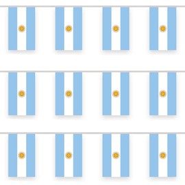 Argentina Bunting Flag, World Cup 2022 Argentina Bunting 10m/32ft Rectangle Fabric Argentina Bunting Banner, Outdoor Indoor Garden Bar Hanging Flag for World Cup Decorations 2022 Party Decoration
