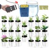 WIFI Intelligent Watering Device Double Pump Timed Automatic Drip Irrigation